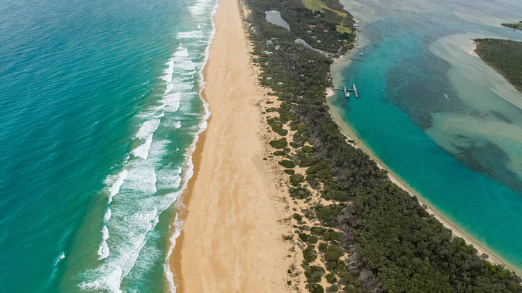 Shoreline Drive Campgrounds, Ninety Mile Beach, VIC