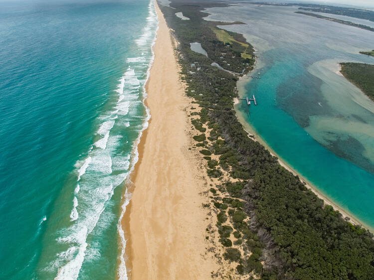 Shoreline Drive Campgrounds, Ninety Mile Beach, VIC