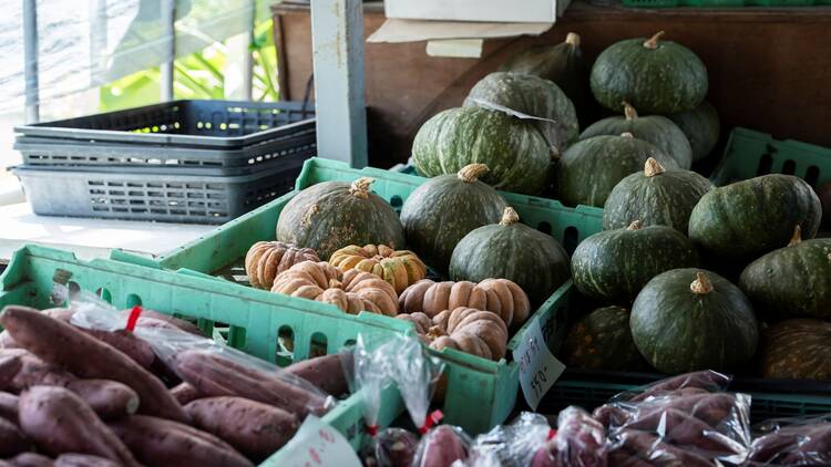 Discover local produce Discover local produce