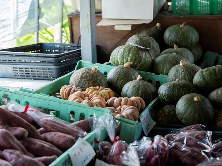 Discover local produce Discover local produce