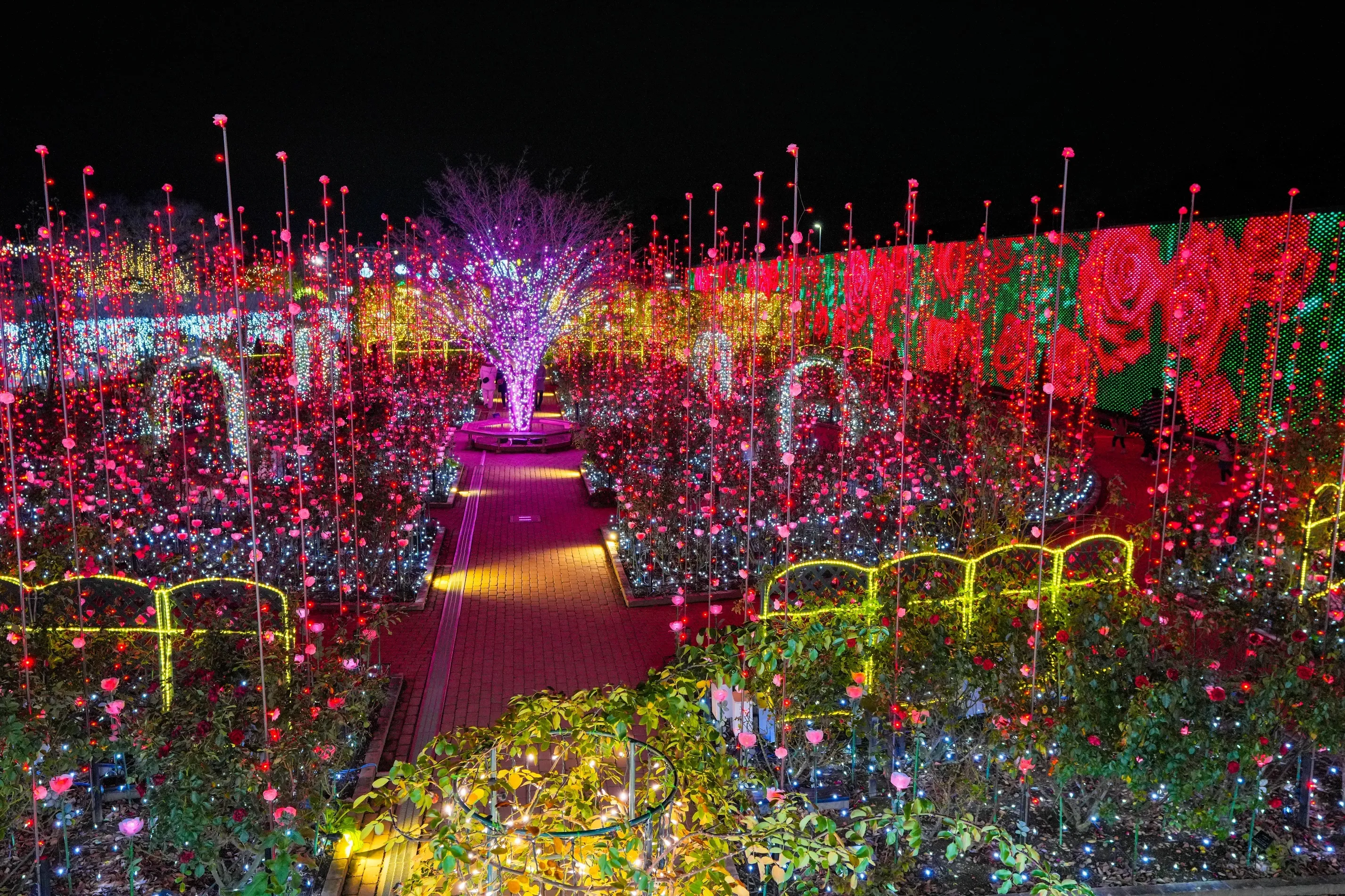 Ashikaga Flower Park Illumination