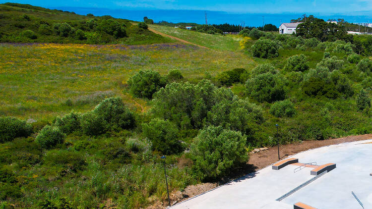 Skatepark de Ouressa