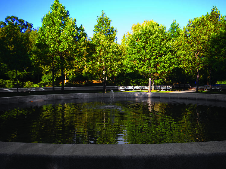 Estique as pernas no Parque da Cidade