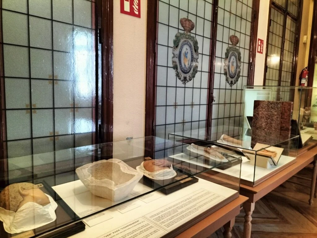 Museo Olavide