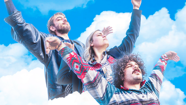 Sunflowers Sunflowers