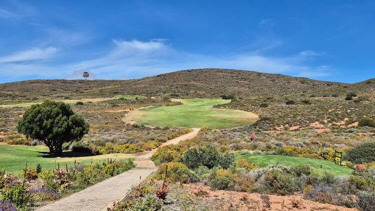 Toughest Hole Toughest Hole