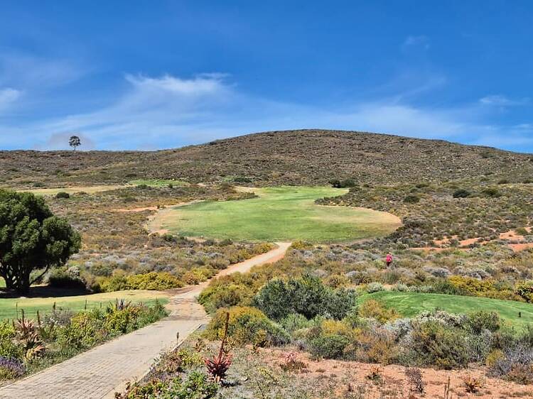 Toughest Hole Toughest Hole