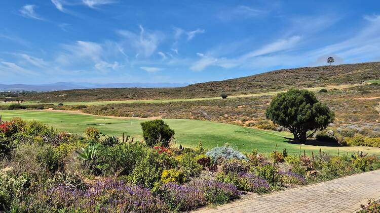 The Golfing Experience The Golfing Experience