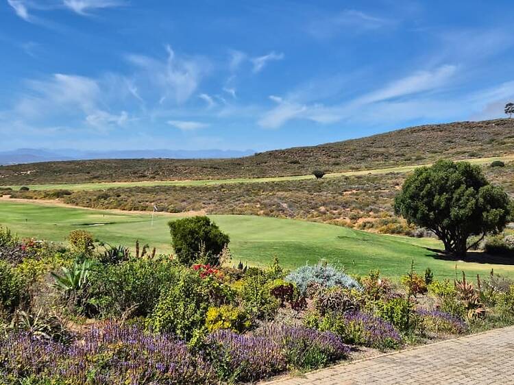 The Golfing Experience The Golfing Experience