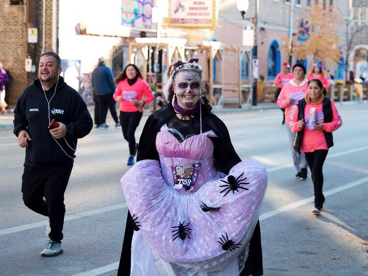 How to celebrate Día de los Muertos in Chicago: Ofrendas, museum exhibitions and more