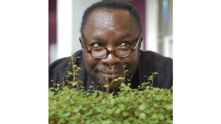 Mad Professor