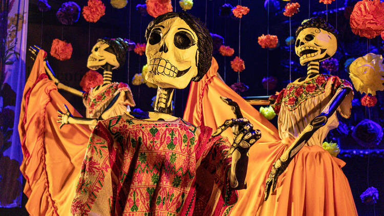 Universidad del Claustro de Sor Juana: Amalia Hernández