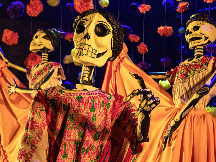 Universidad del Claustro de Sor Juana: Amalia Hernández