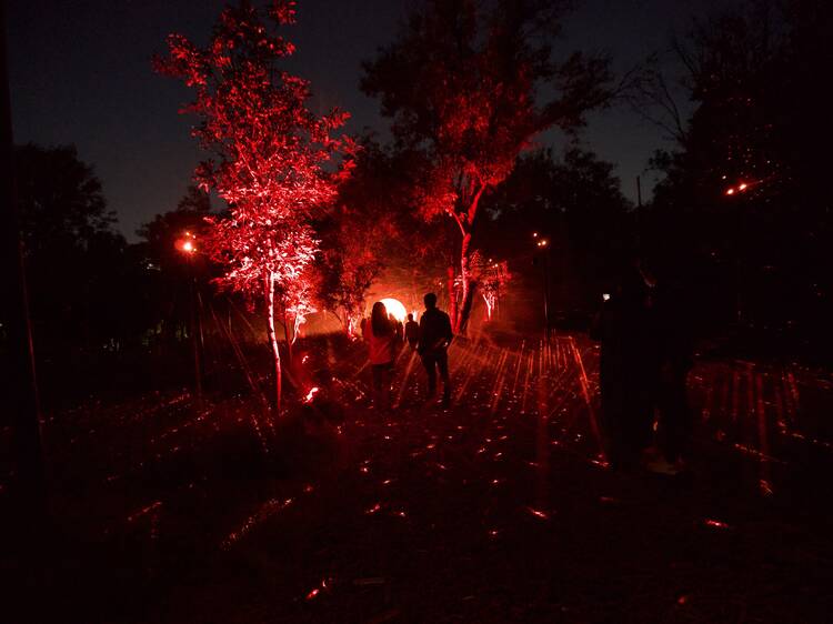 Light Cycles, experiencia inmersiva de luz y sonido en el Bosque de Chapultepec