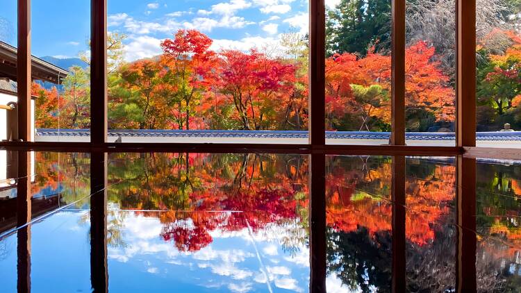 Gunma: Hotokuji Temple’s ‘Floor Maples’ Gunma: Hotokuji Temple’s ‘Floor Maples’