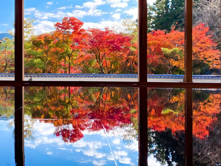Gunma: Hotokuji Temple’s ‘Floor Maples’ Gunma: Hotokuji Temple’s ‘Floor Maples’