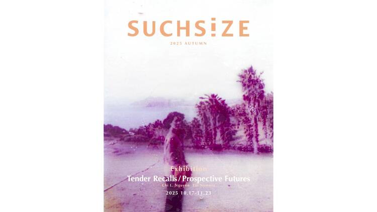 Tender Recalls / Prospective Futures