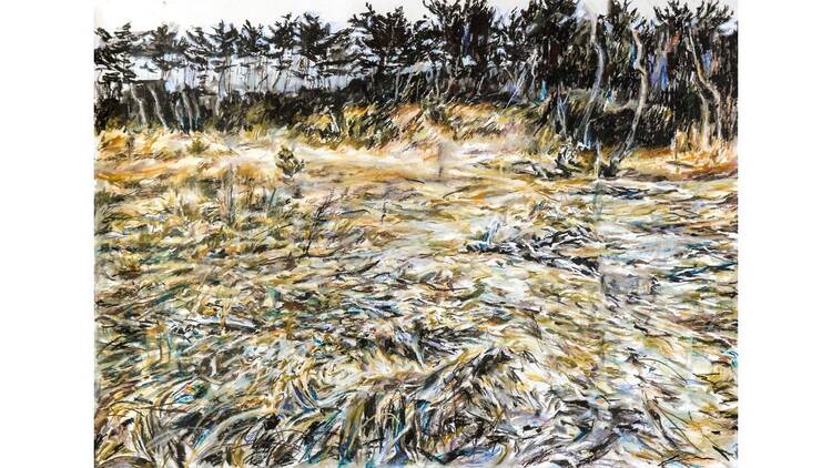 菊池聡太朗 個展「余りの風景」