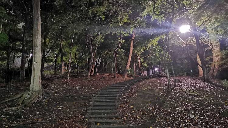 Toyama Park Toyama Park