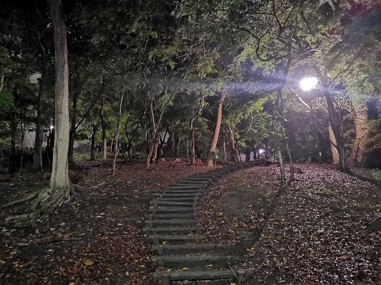 Toyama Park Toyama Park