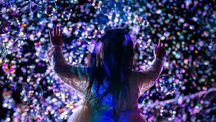 さがみ湖イルミリオン さがみ湖イルミリオン