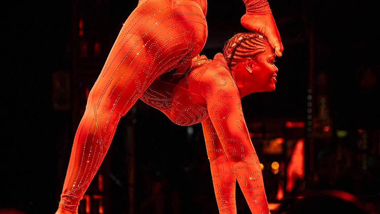Countess Zingara Countess Zingara