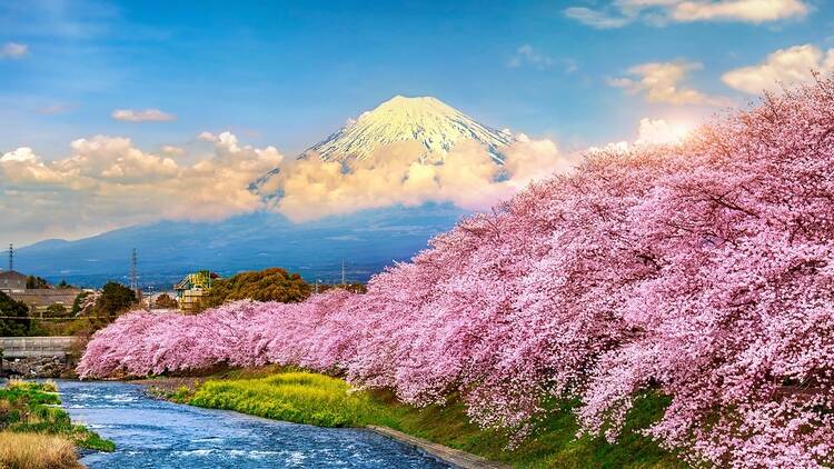 toquio, tokio, japó