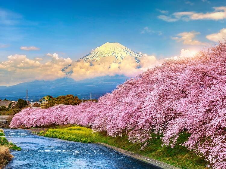 JapĂłn regala vuelos internos a los viajeros europeos y del Reino Unido este invierno para desmasificar Tokio y Kioto (asĂ es como puedes conseguirlos) JapĂłn regala vuelos internos a los viajeros europeos y del Reino Unido este invierno para desmasificar Tokio y Kioto (asĂ es como puedes conseguirlos)