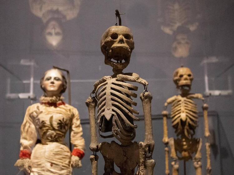 Las mejores exposiciones para visitar en noviembre