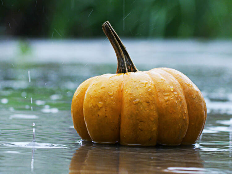 No Montreal snow in the forecast for Halloween — but it's going to get messy