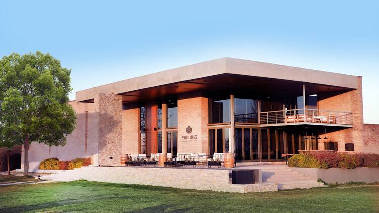 Message in a Bottle (2025) – Penedo Borges Winery Message in a Bottle (2025) – Penedo Borges Winery