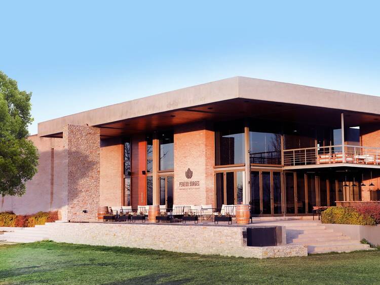 Message in a Bottle (2025) – Penedo Borges Winery Message in a Bottle (2025) – Penedo Borges Winery