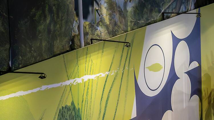 “Superbichos! Incríveis por Natureza”