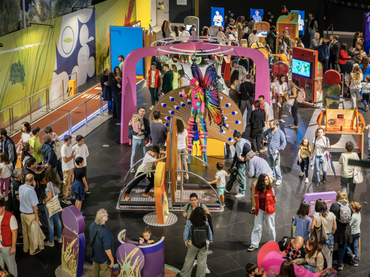 O Pavilhão do Conhecimento foi invadido por “Superbichos” O Pavilhão do Conhecimento foi invadido por “Superbichos”
