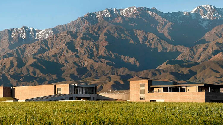 Checkmate (2024) – DiamAndes Winery Checkmate (2024) – DiamAndes Winery