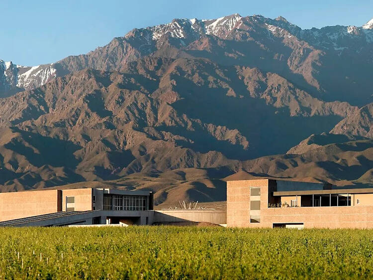 Checkmate (2024) – DiamAndes Winery Checkmate (2024) – DiamAndes Winery