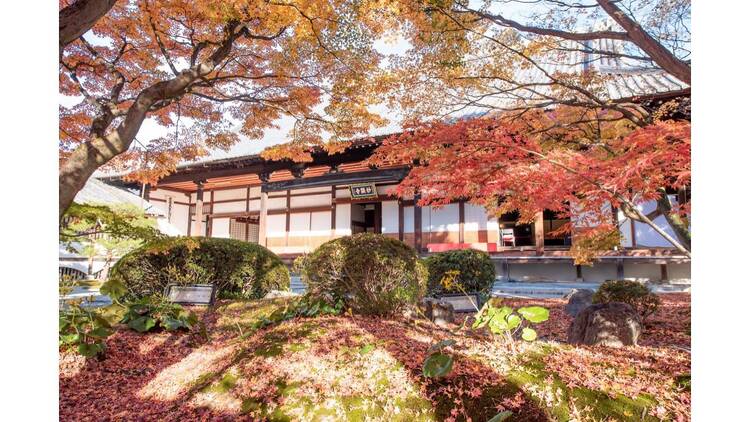 CURATION⇄FAIR Kyoto