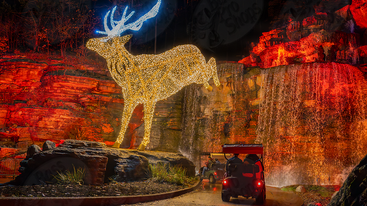 Nature at Night at Lost Canyon Cave & Nature Trail | Ridgedale, MO