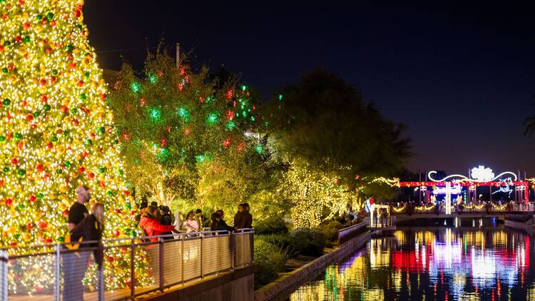 Scottsdazzle | Scottsdale, AZ