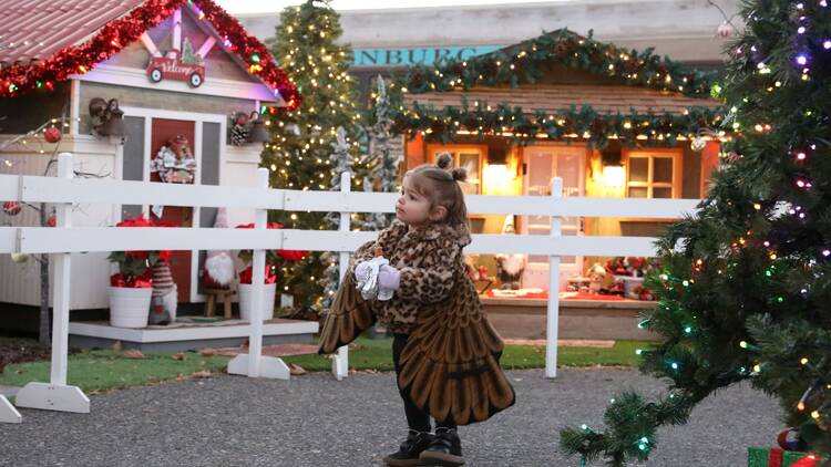 Magical Christmas Journey at Verde Canyon | Clarkdale, AZ