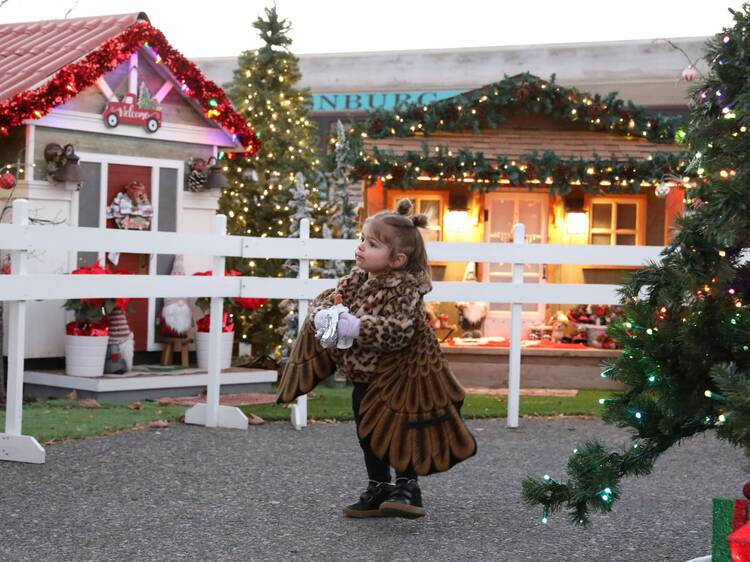 Magical Christmas Journey at Verde Canyon | Clarkdale, AZ