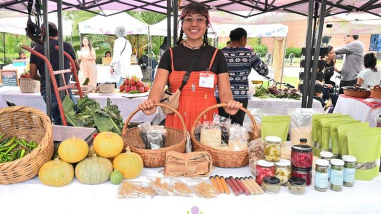 Mercado Alternativo Xochimilco