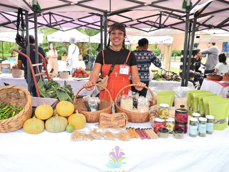 Mercado Alternativo Xochimilco