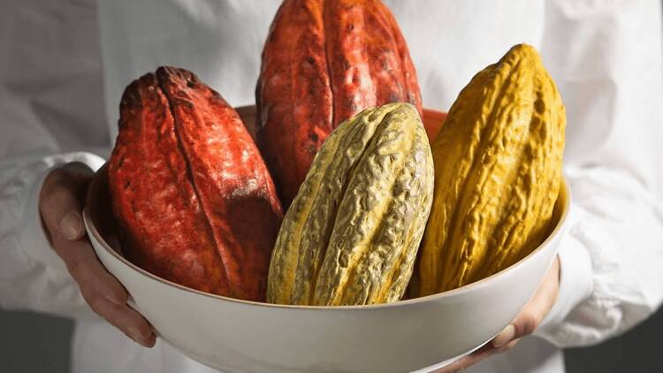 Espai Xocolata Simón Coll