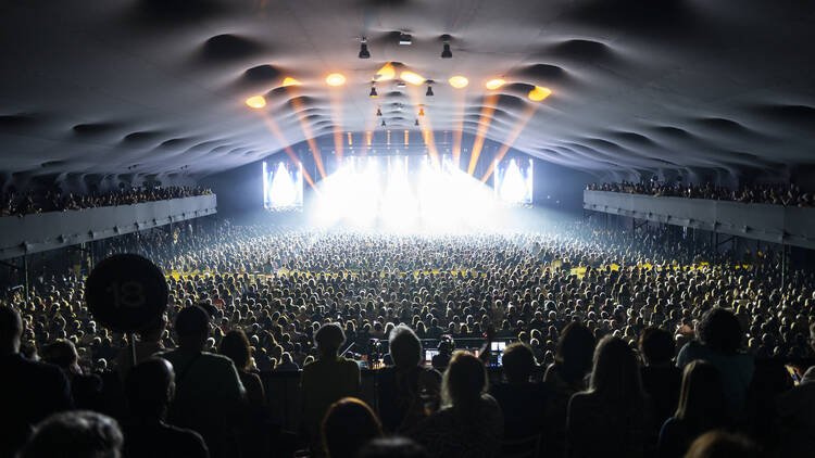 Brava Arena Jockey Brava Arena Jockey