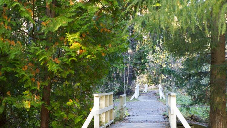 Lose yourself in the green beauty of Hupisaaret – Oulu’s own urban oasis Lose yourself in the green beauty of Hupisaaret – Oulu’s own urban oasis