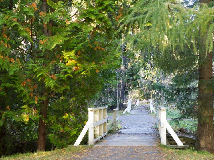 Lose yourself in the green beauty of Hupisaaret – Oulu’s own urban oasis Lose yourself in the green beauty of Hupisaaret – Oulu’s own urban oasis