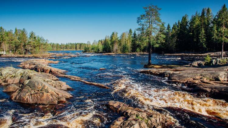 Take an autumn trip to the Koiteli Rapids