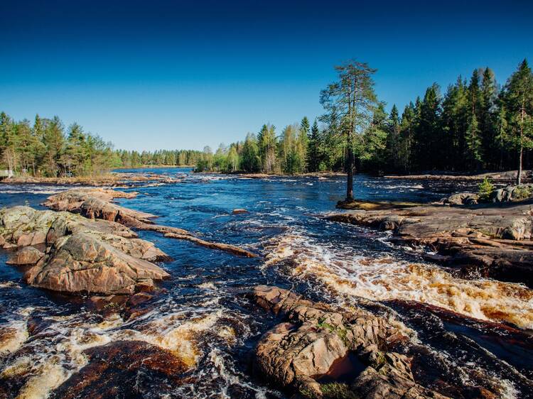 Take an autumn trip to the Koiteli Rapids