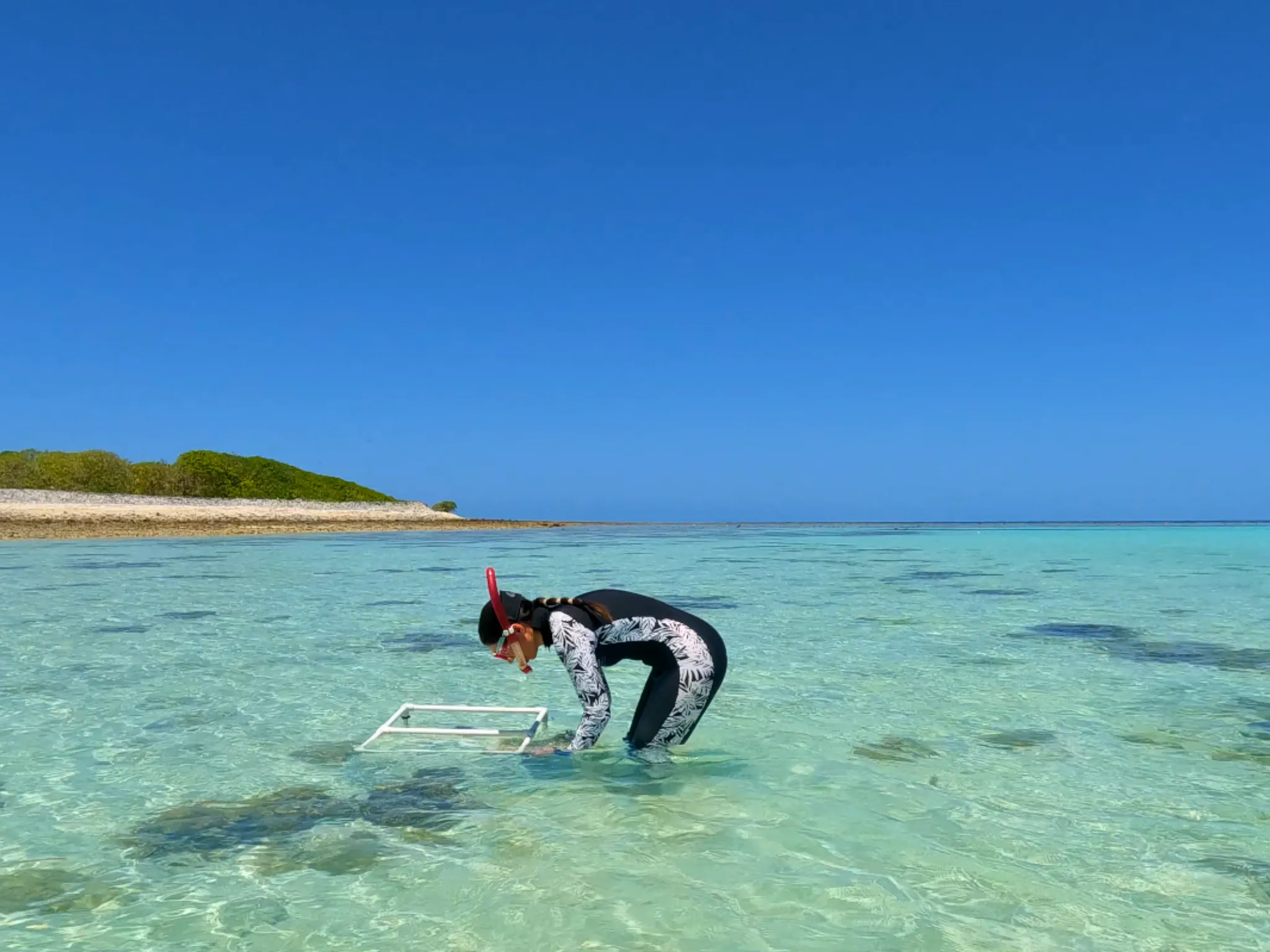 Snorkeler standing in blue water